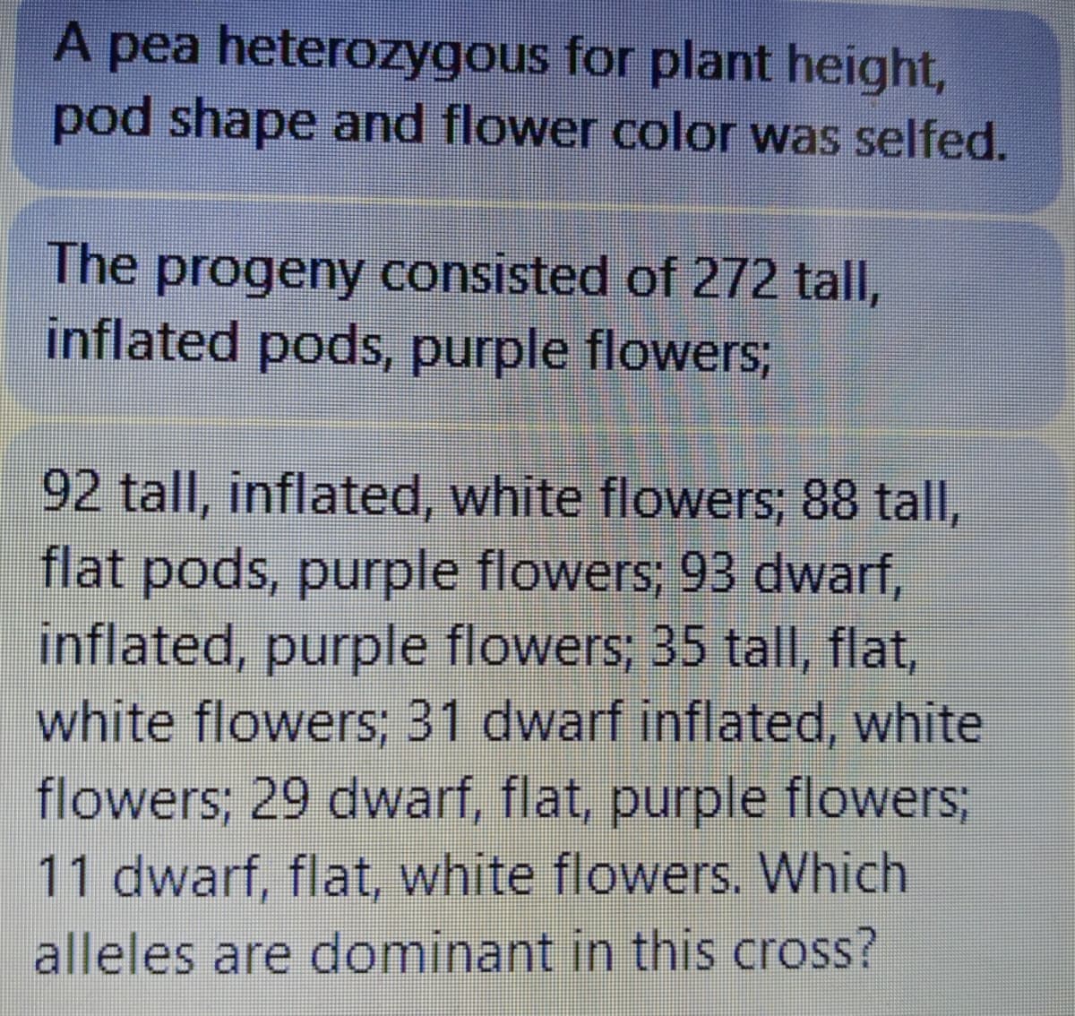 A pea heterozygous for plant height,
pod shape and flower color was selfed.
The progeny consisted of 272 tall,
inflated pods, purple flowers;
92 tall, inflated, white flowers; 88 tall,
flat pods, purple flowers; 93 dwarf,
inflated, purple flowers; 35 tall, flat,
white flowers; 31 dwarf inflated, white
flowers; 29 dwarf, flat, purple flowers;
11 dwarf, flat, white flowers. Which
alleles are dominant in this cross?