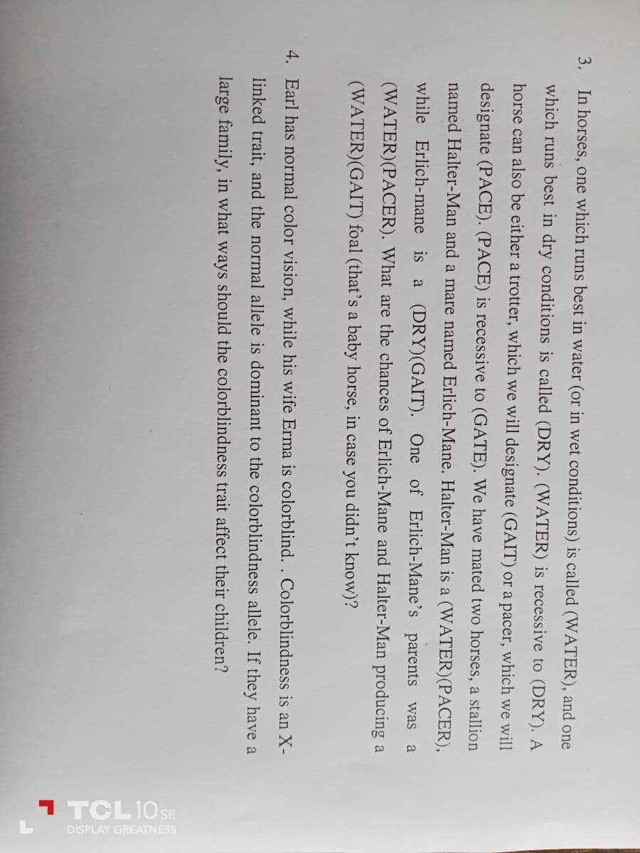 3. In horses, one which runs best in water (or in wet conditions) is called (WATER), and one
which runs best in dry conditions is called (DRY). (WATER) is recessive to (DRY). A
horse can also be either a trotter, which we will designate (GAIT) or a pacer, which we will
designate (PACE). (PACE) is recessive to (GATE). We have mated two horses, a stallion
named Halter-Man and a mare named Erlich-Mane. Halter-Man is a (WATER) (PACER),
while Erlich-mane is a (DRY) (GAIT). One of Erlich-Mane's parents was a
(WATER) (PACER). What are the chances of Erlich-Mane and Halter-Man producing a
(WATER) (GAIT) foal (that's a baby horse, in case you didn't know)?
4. Earl has normal color vision, while his wife Erma is colorblind. . Colorblindness is an X-
linked trait, and the normal allele is dominant to the colorblindness allele. If they have a
large family, in what ways should the colorblindness trait affect their children?
1 TCL 10 SE
DISPLAY GREATNESS
L