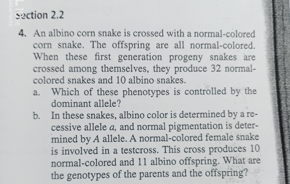 Section 2.2
4. An albino corn snake is crossed with a normal-colored
corn snake. The offspring are all normal-colored.
When these first generation progeny snakes are
crossed among themselves, they produce 32 normal-
colored snakes and 10 albino snakes.
a. Which of these phenotypes is controlled by the
dominant allele?
b.
In these snakes, albino color is determined by a re-
cessive allele a, and normal pigmentation is deter-
mined by A allele. A normal-colored female snake
is involved in a testcross. This cross produces 10
normal-colored and 11 albino offspring. What are
the genotypes of the parents and the offspring?