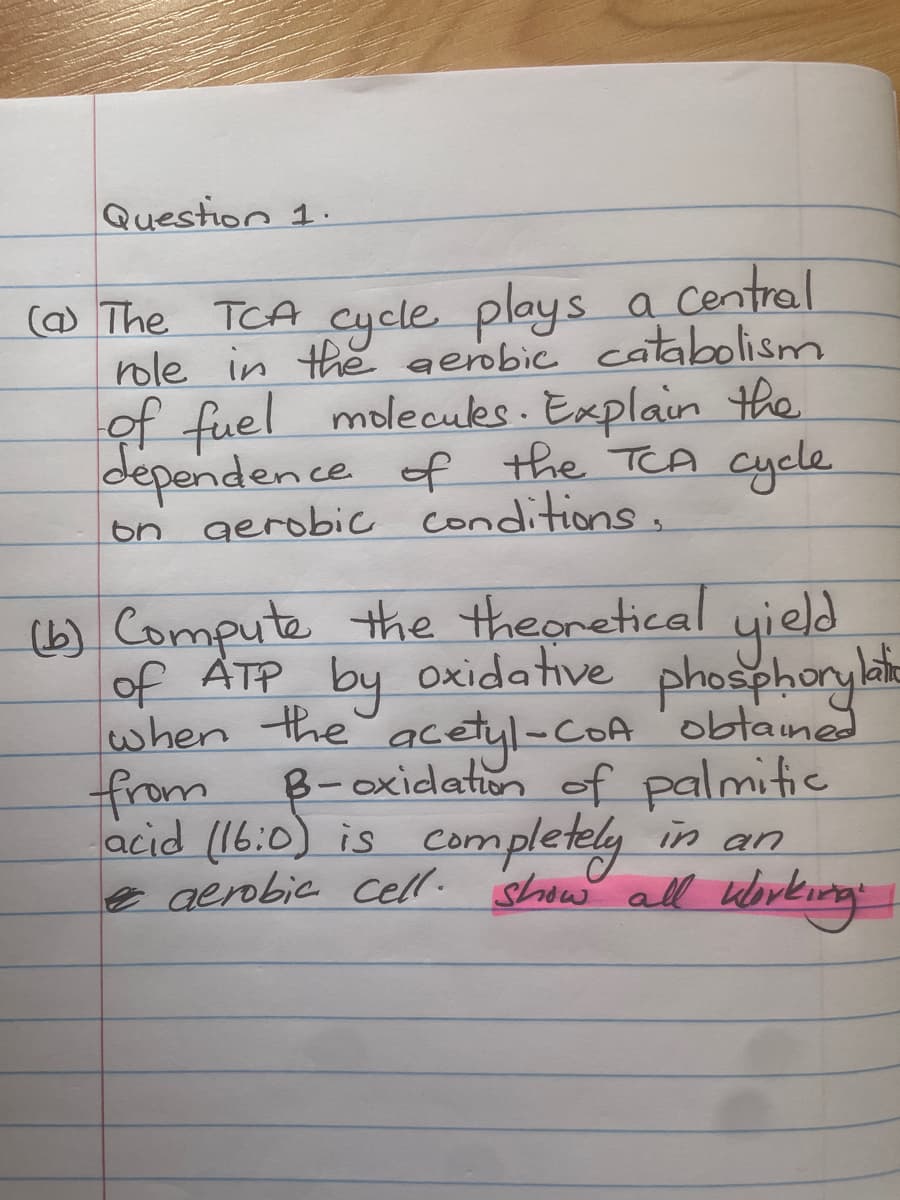 Question 1.
(a) The TCA cycle plays a
a central
role in the aerobic catabolism
of fuel molecules. Explain the
dependence of the TCA cycle
on aerobic conditions,
(b) Compute the theoretical yield
of ATP by oxidative phosphorylate
when the acetyl-CoA obtained
from
B-oxidation of palmitic
acid (16:0) is completely in an
e aerobic cell show all working.