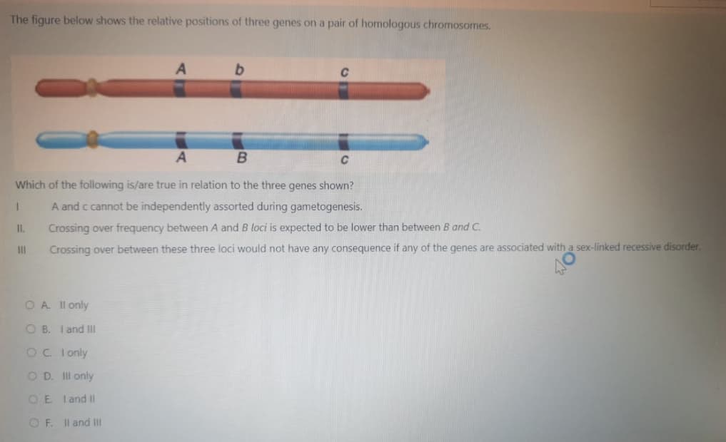 The figure below shows the relative positions of three genes on a pair of homologous chromosomes.
A
B
Which of the following is/are true in relation to the three genes shown?
I
A and c cannot be independently assorted during gametogenesis.
Crossing over frequency between A and B loci is expected to be lower than between B and C.
Crossing over between these three loci would not have any consequence if any of the genes are associated with a sex-linked recessive disorder.
II.
|||
O A. II only
OB. I and III
OC. I only
OD. Ill only
OE I and II
OF. II and III