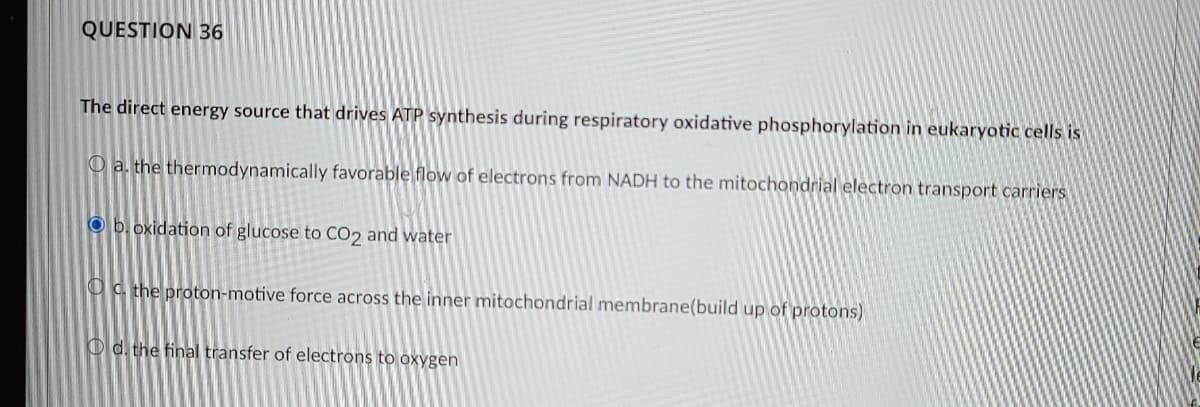 QUESTION 36
The direct energy source that drives ATP synthesis during respiratory oxidative phosphorylation in eukaryotic cells is
O a. the thermodynamically favorable flow of electrons from NADH to the mitochondrial electron transport carriers
O b.oxidation of glucose to CO2 and water
Oa the proton-motive force across the inner mitochondrial membrane(build up of protons)
O d. the final transfer of electrons to oxygen
