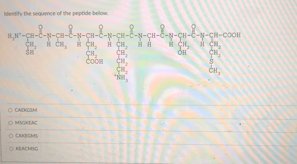 Identify the sequence'of the peptide below.
C-N-CH-COOH
C-N-CH-
H H
CH-
H,N*-CH-Ċ-N-CH-Ċ-N-CH-Ö-N-CH-Ċ-
H CH,
CH2
ČOOH
H CH,
H CH,
H CH,
CH,
CH,
CH2
*NH,
H CH,
он
CH,
SH
S
CH,
O CAEKGSM
O MSGKEAC
O CAKEGMS
O KEACMSG

