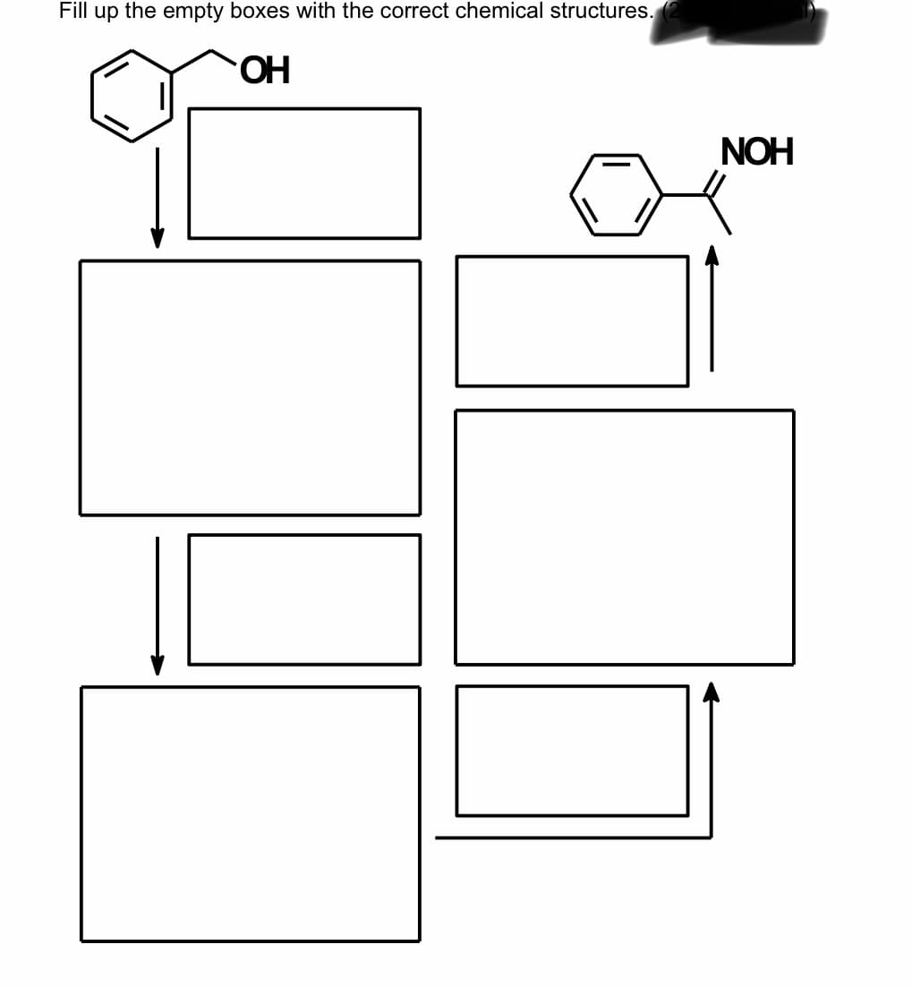 Fill up the empty boxes with the correct chemical structures.
HO.
NOH
