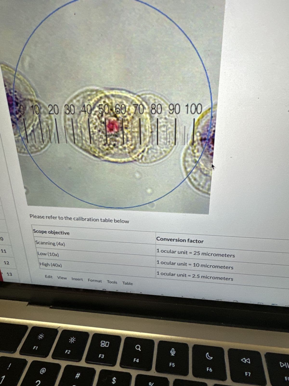 .0
11
12
13
10 20 30 40 50 60 70 80 90 100
PONTEBELED
Please refer to the calibration table below
Scope objective
Scanning (4x)
Low (10x)
F1
High (40x)
Edit View
@
F2
Insert Format Tools Table
#
80
F3
SA
$
a
F4
0%
Conversion factor
1 ocular unit = 25 micrometers
1 ocular unit = 10 micrometers
1 ocular unit = 2.5 micrometers
9
F5
C
F6
F7
DIL
FE