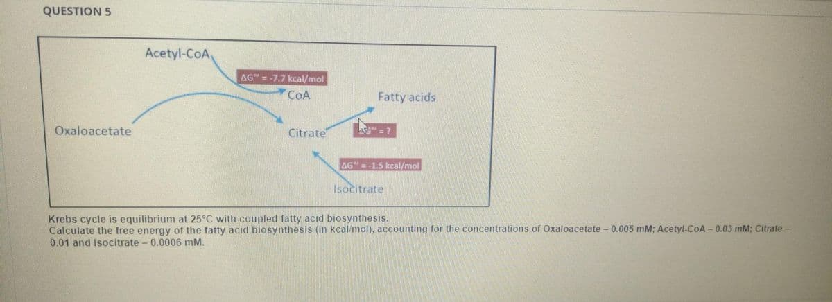 QUESTION 5
Acetyl-CoA.
AG =-7.7 kcal/mol
COA
Fatty acids
Oxaloacetate
Citrate
AG" = -1.5 kcal/mol
Isocitrate
Krebs cycle is equilibrium at 25°C with coupled fatty acid biosynthesis.
Calculate the free energy of the fatty acid biosynthesis (in kcal/mol), accounting for the concentrations of Oxaloacetate – 0.005 mM; Acetyl-CoA-0.03 mM; Citrate-
0.01 and Isocitrate- 0.0006 mM.
