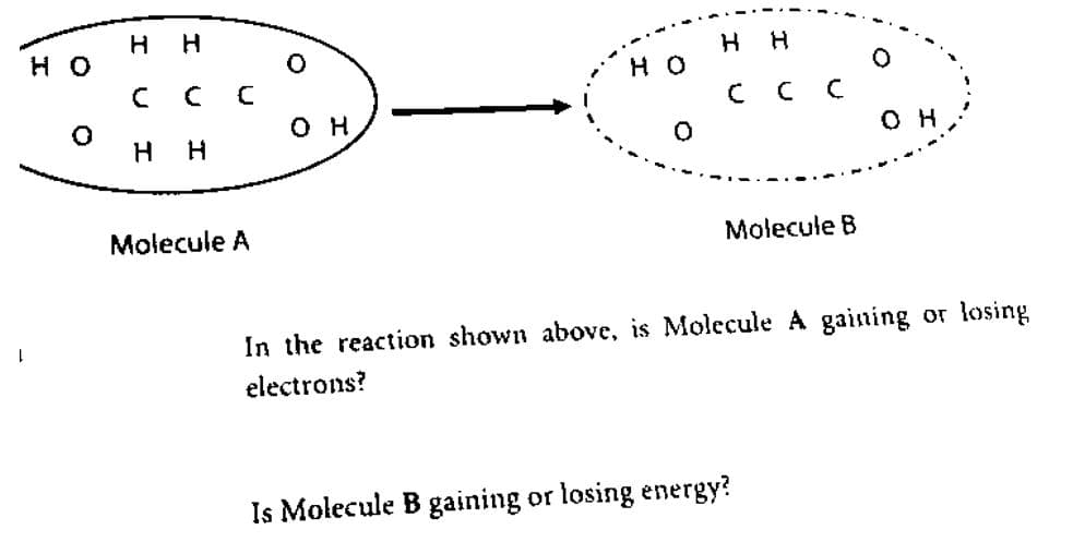 H
H O
H
H H
но
C C C
C C C
он
H.
O H
Molecule A
Molecule B
In the reaction shown above, is Molecule A gaining or
losing
electrons?
Is Molecule B gaining or losing energy?
