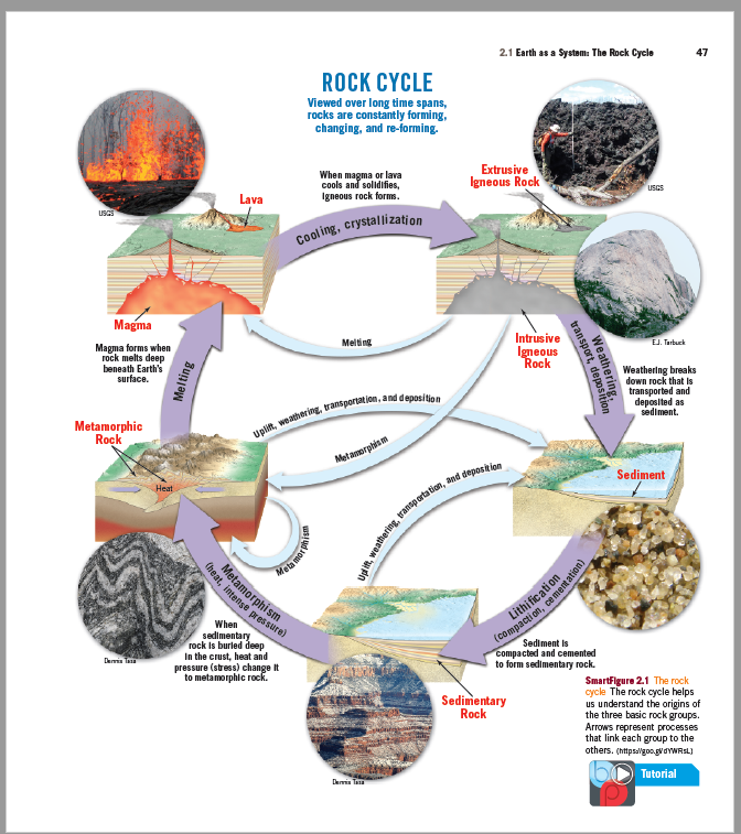2.1 Earth as a Systom: The Rock Cycle
47
ROCK CYCLE
Viewed over long time spans,
rocks are constantly forming,
changing, and re-forming.
Extrusive
When magma or lava
cools and solidifies,
Igneous rock forms.
Igneous Rock
Lava
USGS
USGS
Col ing, crystallization
Magma
Intrusive
Magma forms when
rock melts deep
beneath Earth's
surface.
Melting
EJ. Tarbuck
Igneous
Rock
Weathering breaks
down rock that is
transported and
deposited as
sediment.
a wathering, ransporation, and depositen
Metamorphic
Rock
Metamerptis m
Sediment
Heat
Metamorphism
theat, intense gr es sure)
Mela mer
Lithi ficati on
When
sedimentary
rock is burled deep
In the crust, heat and
pressure (stress) change It
to metamorphic rock.
Sediment is
compacted and cemented
to form sedimentary rock.
Demis Ta
SmartFigure 2.1 The rock
cycle The rock cycle helps
us understand the origins of
the three basic rock groups.
Arrows represent processes
that link each group to the
others. (https/ligoo.gvawWRSL)
Sedimentary
Rock
Demis Taa
Tutorial
Weathering
transport, deposition
Melting
