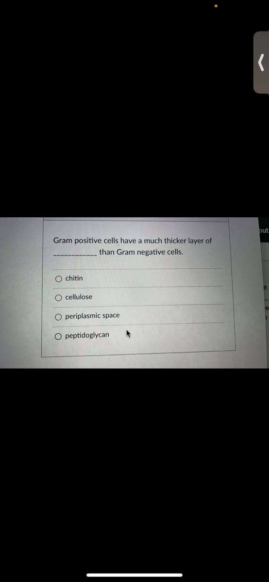 out
Gram positive cells have a much thicker layer of
than Gram negative cells.
chitin
O cellulose
O periplasmic space
O peptidoglycan
