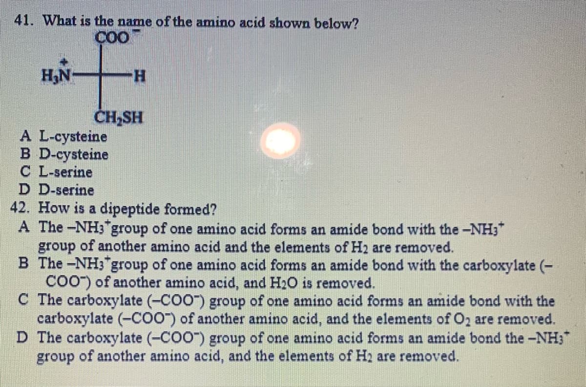 41. What is the name of the amino acid shown below?
ÇOO
H,N-
CH,SH
A L-cysteine
B D-cysteine
C L-serine
D D-serine
42. How is a dipeptide formed?
A The -NH3"group of one amino acid forms an amide bond with the -NH3"
group of another amino acid and the elements of H2 are removed.
B The -NH;group of one amino acid forms an amide bond with the carboxylate (-
COO") of another amino acid, and H20 is removed.
C The carboxylate (-COO") group of one amino acid forms an amide bond with the
carboxylate (-CO0) of another amino acid, and the elements of O2 are removed.
D The carboxylate (-CO0") group of one amino acid forms an amide bond the -NH:
group of another amino acid, and the elements of Ha are removed.
