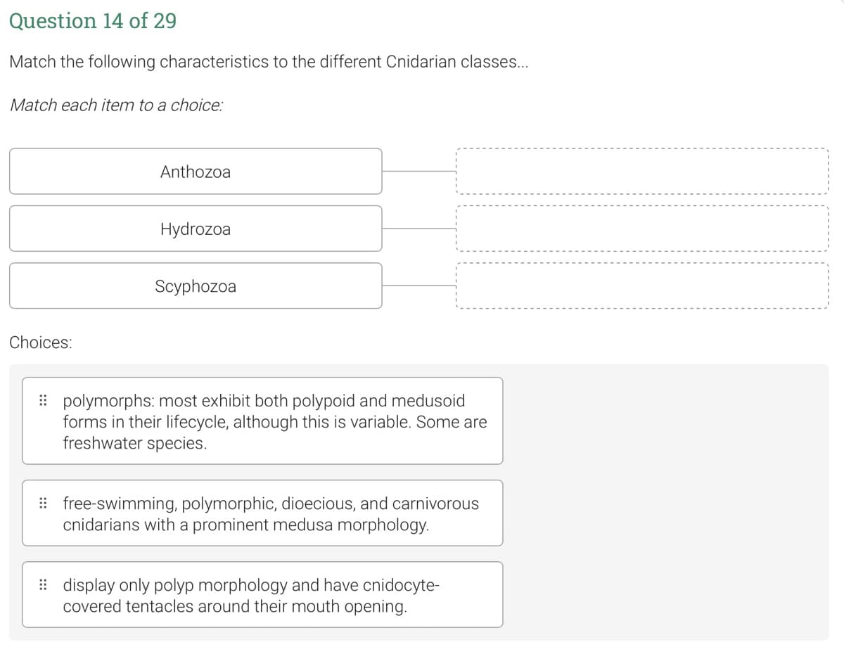 Question 14 of 29
Match the following characteristics to the different Cnidarian classes..
Match each item to a choice:
Anthozoa
Hydrozoa
Scyphozoa
Choices:
: polymorphs: most exhibit both polypoid and medusoid
forms in their lifecycle, although this is variable. Some are
freshwater species.
: free-swimming, polymorphic, dioecious, and carnivorous
cnidarians with a prominent medusa morphology.
: display only polyp morphology and have cnidocyte-
covered tentacles around their mouth opening.
