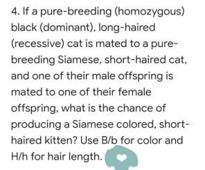 4. If a pure-breeding (homozygous)
black (dominant), long-haired
(recessive) cat is mated to a pure-
breeding Siamese, short-haired cat,
and one of their male offspring is
mated to one of their female
offspring, what is the chance of
producing a Siamese colored, short-
haired kitten? Use B/b for color and
H/h for hair length.
