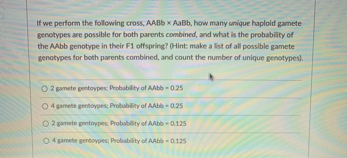 If we perform the following cross, AABB x AaBb, how many unique haploid gamete
genotypes are possible for both parents combined, and what is the probability of
the AAbb genotype in their F1 offspring? (Hint: make a list of all possible gamete
genotypes for both parents combined, and count the number of unique genotypes).
2 gamete gentoypes; Probability of AAbb = 0.25
4 gamete gentoypes; Probability of AAbb 0.25
O 2 gamete gentoypes; Probability of AAbb 0.125
O 4 gamete gentoypes; Probability of AAbb = 0.125
