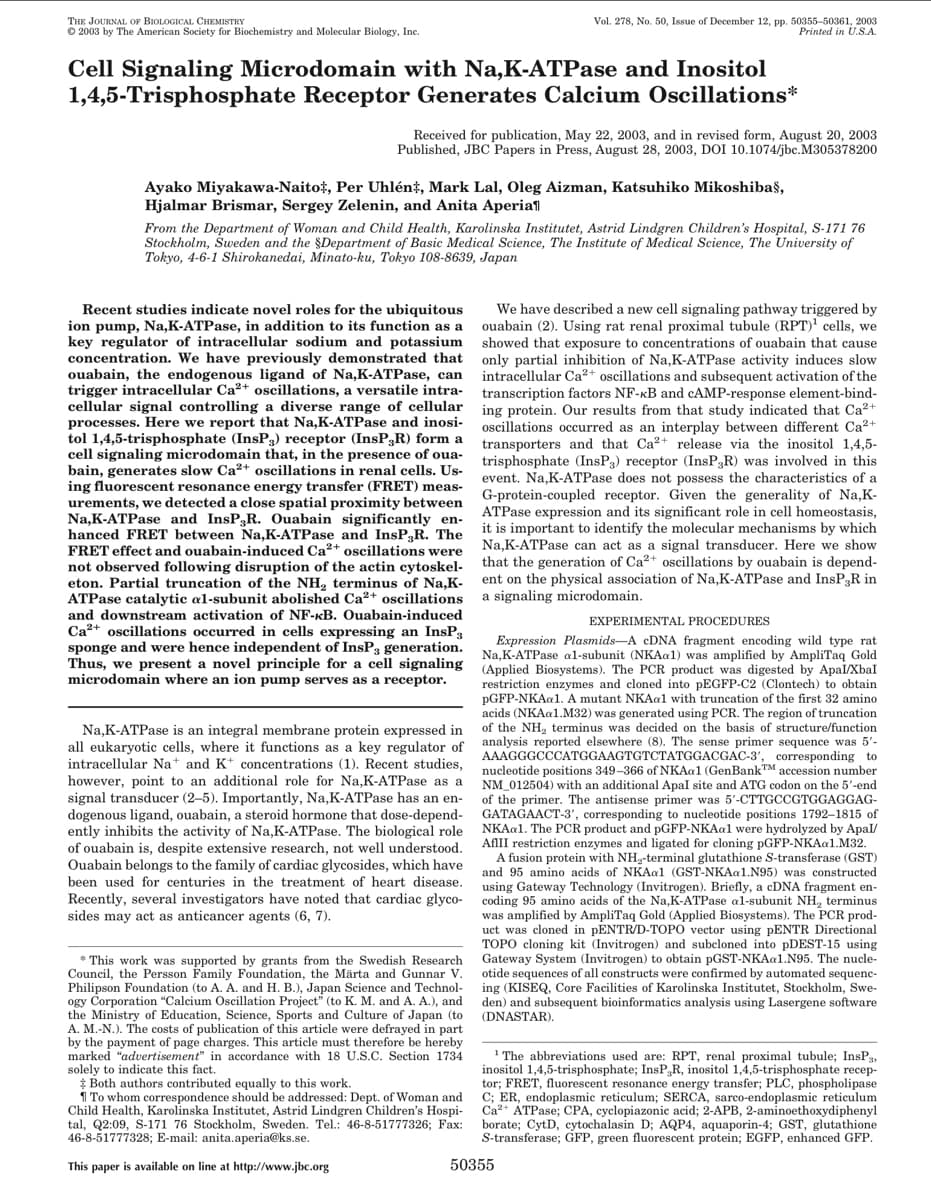 THE JOURNAL OF BIOLOGICAL CHEMISTRY
Ⓒ2003 by The American Society for Biochemistry and Molecular Biology, Inc.
Cell Signaling Microdomain with Na,K-ATPase and Inositol
1,4,5-Trisphosphate Receptor Generates Calcium Oscillations*
Received for publication, May 22, 2003, and in revised form, August 20, 2003
Published, JBC Papers in Press, August 28, 2003, DOI 10.1074/jbc.M305378200
Ayako Miyakawa-Naito‡, Per Uhlén, Mark Lal, Oleg Aizman, Katsuhiko Mikoshibas,
Hjalmar Brismar, Sergey Zelenin, and Anita Aperia
From the Department of Woman and Child Health, Karolinska Institutet, Astrid Lindgren Children's Hospital, S-171 76
Stockholm, Sweden and the Department of Basic Medical Science, The Institute of Medical Science, The University of
Tokyo, 4-6-1 Shirokanedai, Minato-ku, Tokyo 108-8639, Japan
Recent studies indicate novel roles for the ubiquitous
ion pump, Na,K-ATPase, in addition to its function as a
key regulator of intracellular sodium and potassium
concentration. We have previously demonstrated that
ouabain, the endogenous ligand of Na,K-ATPase, can
trigger intracellular Ca²+ oscillations, a versatile intra-
cellular signal controlling a diverse range of cellular
processes. Here we report that Na,K-ATPase and inosi-
tol 1,4,5-trisphosphate (InsP3) receptor (InsP,R) form a
cell signaling microdomain that, in the presence of oua-
bain, generates slow Ca²+ oscillations in renal cells. Us-
ing fluorescent resonance energy transfer (FRET) meas-
urements, we detected a close spatial proximity between
Na,K-ATPase and InsP3R. Ouabain significantly en-
hanced FRET between Na,K-ATPase The
FRET effect and ouabain-induced Ca²+ oscillations were
not observed following disruption of the actin cytoskel-
eton. Partial truncation of the NH, terminus of Na,K-
ATPase catalytic al-subunit abolished Ca2+ osc
oscillations
and downstream activation of NF-kB. Ouabain-induced
Ca²+ oscillations occurred in cells expressing an InsP;
sponge and were hence independent of InsP, generation.
Thus, we present a novel principle for a cell signaling
microdomain where an ion pump serves as a receptor.
TR
Vol. 278, No. 50, Issue of December 12, pp. 50355-50361, 2003
Printed in U.S.A.
Na,K-ATPase is an integral membrane protein expressed in
all eukaryotic cells, where it functions as a key regulator of
intracellular Na+ and K+ concentrations (1). Recent studies,
however, point to an additional role for Na,K-ATPase as a
signal transducer (2-5). Importantly, Na,K-ATPase has an en-
dogenous ligand, ouabain, a steroid hormone that dose-depend-
ently inhibits the activity of Na,K-ATPase. The biological role
of ouabain is, despite extensive research, not well understood.
Ouabain belongs to the family of cardiac glycosides, which have
been used for centuries in the treatment of heart disease.
Recently, several investigators have noted that cardiac glyco-
sides may act as anticancer agents (6, 7).
*This work was supported by grants from the Swedish Research
Council, the Persson Family Foundation, the Märta and Gunnar V.
Philipson Foundation (to A. A. and H. B.), Japan Science and Technol-
ogy Corporation "Calcium Oscillation Project" (to K. M. and A. A.), and
the Ministry of Education, Science, Sports and Culture of Japan (to
A. M.-N.). The costs of publication of this article were defrayed in part
by the payment of page charges. This article must therefore be hereby
marked "advertisement" in accordance with 18 U.S.C. Section 1734
solely to indicate this fact.
Both authors contributed equally to this work.
To whom correspondence should be addressed: Dept. of Woman and
Child Health, Karolinska Institutet, Astrid Lindgren Children's Hospi-
tal, Q2:09, S-171 76 Stockholm, Sweden. Tel.: 46-8-51777326; Fax:
46-8-51777328; E-mail: anita.aperia@ks.se.
This paper is available on line http://www.jbc.org
We have described a new cell signaling pathway triggered by
ouabain (2). Using rat renal proximal tubule (RPT)¹ cells, we
showed that exposure to concentrations of ouabain that cause
only partial inhibition of Na,K-ATPase activity induces slow
intracellular Ca²+ oscillations and subsequent activation of the
transcription factors NF-kB and CAMP-response element-bind-
ing protein. Our results from that study indicated that Ca²+
oscillations occurred as an interplay between different Ca²+
transporters and that Ca²+ release via the inositol 1,4,5-
trisphosphate (InsP3) receptor (InsP3R) was involved in this
event. Na,K-ATPase does not possess the characteristics of a
G-protein-coupled receptor. Given the generality of Na,K-
ATPase expression and its significant role in cell homeostasis,
it is important to identify the molecular mechanisms by which
Na,K-ATPase can act as a signal transducer. Here we show
that the generation of Ca²+ oscillations by ouabain is depend-
ent on the physical association of Na,K-ATPase and InsP3R in
a signaling microdomain.
EXPERIMENTAL PROCEDURES
Expression Plasmids-A cDNA fragment encoding wild type rat
Na,K-ATPase al-subunit (NKAa1) was amplified by AmpliTaq Gold
(Applied Biosystems). The PCR product was digested by Apal/Xbal
restriction enzymes and cloned into pEGFP-C2 (Clontech) to obtain
pGFP-NKAa1. A mutant NKAa1 with truncation of the first 32 amino
acids (NKAa1.M32) was generated using PCR. The region of truncation
of the NH₂ terminus was decided on the basis of structure/function
analysis reported elsewhere (8). The sense primer sequence was 5'-
AAAGGGCCCATGGAAGTGTCTATGGACGAC-3', corresponding to
nucleotide positions 349-366 of NKAa1 (GenBank™ accession number
NM_012504) with an additional Apal site and ATG codon on the 5'-end
of the primer. The antisense primer was 5'-CTTGCCGTGGAGGAG-
GATAGAACT-3', corresponding to nucleotide positions 1792-1815 of
NKAa1. The PCR product and pGFP-NKAa1 were hydrolyzed by Apal/
AflII restriction enzymes and ligated for cloning pGFP-NKAa1.M32.
A fusion protein with NH₂-terminal glutathione S-transferase (GST)
and 95 amino acids of NKAa1 (GST-NKAa1.N95) was constructed
using Gateway Technology (Invitrogen). Briefly, a cDNA fragment en-
coding 95 amino acids of the Na,K-ATPase al-subunit NH₂ terminus
was amplified by AmpliTaq Gold (Applied Biosystems). The PCR prod-
uct was cloned in pENTR/D-TOPO vector using pENTR Directional
TOPO cloning kit (Invitrogen) and subcloned into pDEST-15 using
Gateway System (Invitrogen) to obtain pGST-NKAa1.N95. The nucle-
otide sequences of all constructs were confirmed by automated sequenc-
ing (KISEQ, Core Facilities of Karolinska Institutet, Stockholm, Swe-
den) and subsequent bioinformatics analysis using Lasergene software
(DNASTAR).
¹The abbreviations used are: RPT, renal proximal tubule; InsP3,
inositol 1,4,5-trisphosphate; InsP,R, inositol 1,4,5-trisphosphate recep-
tor; FRET, fluorescent resonance energy transfer; PLC, phospholipase
C; ER, endoplasmic reticulum; SERCA, sarco-endoplasmic reticulum
Ca²+ ATPase; CPA, cyclopiazonic acid; 2-APB, 2-aminoethoxydiphenyl
borate; CytD, cytochalasin D; AQP4, aquaporin-4; GST, glutathione
S-transferase; GFP, green fluorescent protein; EGFP, enhanced GFP.
50355