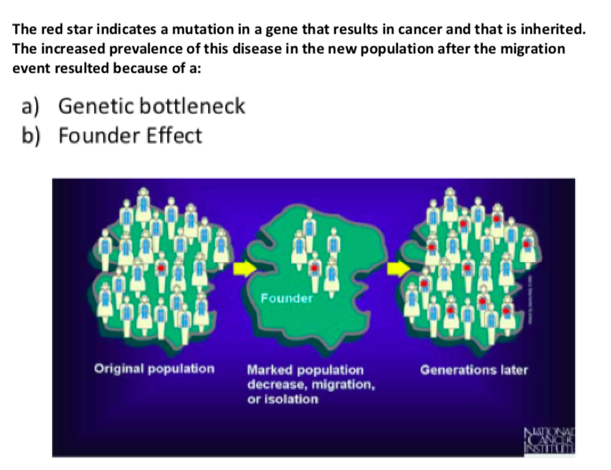 The red star indicates a mutation in a gene that results in cancer and that is inherited.
The increased prevalence of this disease in the new population after the migration
event resulted because of a:
a) Genetic bottleneck
b) Founder Effect
Founder
Original population
Marked population
decrease, migration,
or isolation
Generations later
NOR

