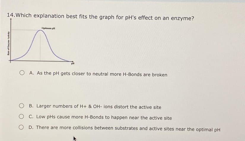 14.Which explanation best fits the graph for pH's effect on an enzyme?
Opri p
O A. As the pH gets closer to neutral more H-Bonds are broken
B. Larger numbers of H+ & OH- ions distort the active site
O C. Low pHs cause more H-Bonds to happen near the active site
O D. There are more collisions between substrates and active sites near the optimal pH
Rate of Ey Aey

