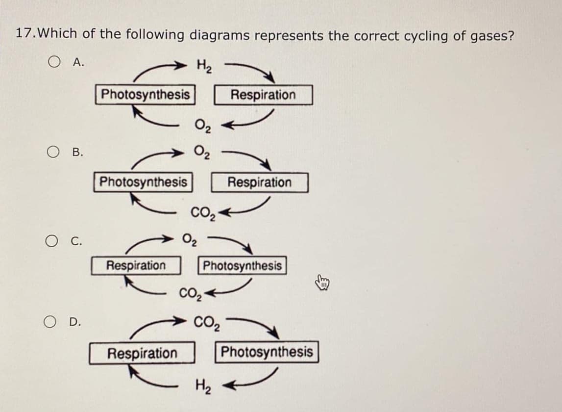17.Which of the following diagrams represents the correct cycling of gases?
O A.
H2
Photosynthesis
Respiration
O2
В.
O2
Photosynthesis
Respiration
.
O2
Respiration
Photosynthesis
CO2
O D.
CO2
Respiration
Photosynthesis
H2
