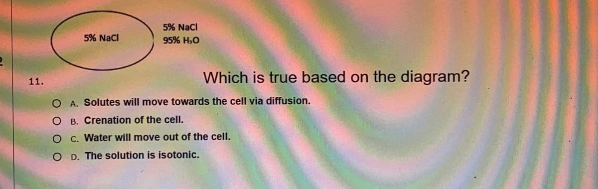 5% Nacl
5% Nacl
95% H,O
Which is true based on the diagram?
11.
O A. Solutes will move towards the cell via diffusion.
O B. Crenation of the cell.
O C. Water will move out of the celI.
O D. The solution is isotonic.
