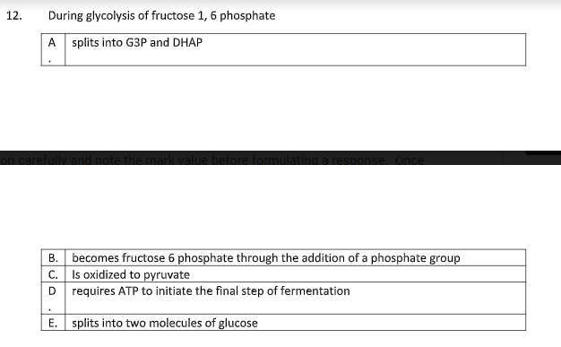During glycolysis of fructose 1, 6 phosphate
A splits into G3P and DHAP
carefully and note the mark value before formulating esponse. Once
B.
becomes fructose 6 phosphate through the addition of a phosphate group
Is oxidized to pyruvate
C.
D
requires ATP to initiate the final step of fermentation
E. splits into two molecules of glucose
12.