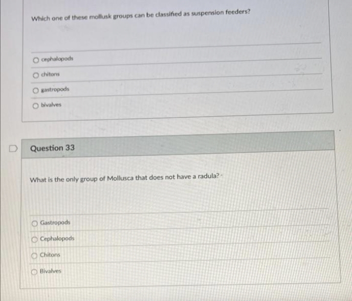 Which one of these mollusk groups can be classified as suspension feeders?
O onphalopods
chitons
gastropods
O bivalves
Question 33
What is the only group of Mollusca that does not have a radula? -
O Gastropods
O Cephalopods
O Chitons
O Bivalves
