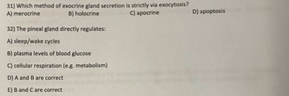 31) Which method of exocrine gland secretion is strictly via exocytosis?
A) merocrine
B) holocrine
C) apocrine
D) apoptosis
32) The pineal gland directly regulates:
A) sleep/wake cycles
B) plasma levels of blood glucose
C) cellular respiration (e.g. metabolism)
D) A and B are correct
E) B and Care correct
