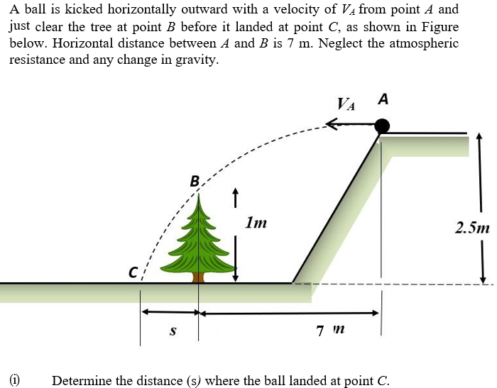 A ball is kicked horizontally outward with a velocity of Va from point A and
just clear the tree at point B before it landed at point C, as shown in Figure
below. Horizontal distance between A and B is 7 m. Neglect the atmospheric
resistance and any change in gravity.
VA
A
B.
1m
2.5m
S
7 m
Determine the distance (s) where the ball landed at point C.
