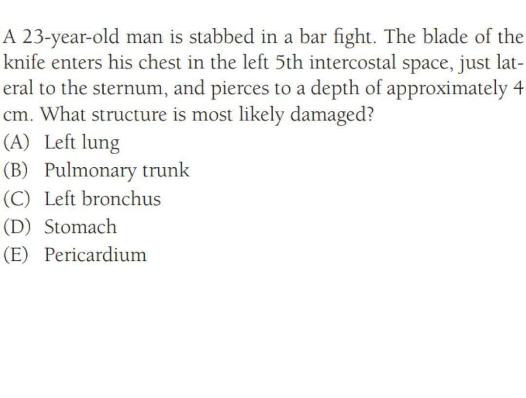 A 23-year-old man is stabbed in a bar fight. The blade of the
knife enters his chest in the left 5th intercostal space, just lat-
eral to the sternum, and pierces to a depth of approximately 4
cm. What structure is most likely damaged?
(A) Left lung
(B) Pulmonary trunk
(C) Left bronchus
(D) Stomach
(E) Pericardium
