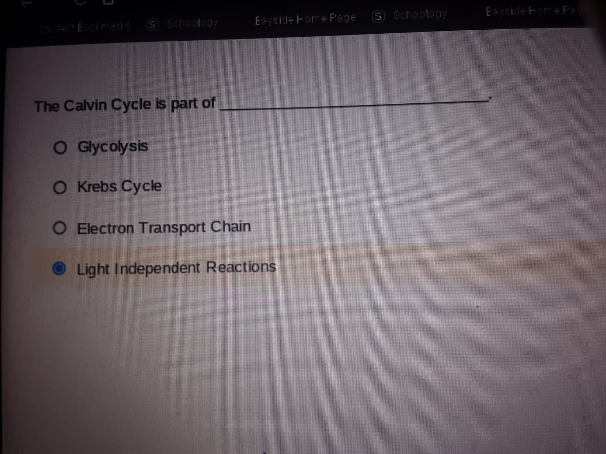 Eayside Foe Pe
SSchoology
S Schoology
Eayside Fome Page
Sudert Eoolrarks
The Calvin Cycle is part of
O Glycolysis
O Krebs Cycle
O Electron Transport Chain
Light Independent Reactions
