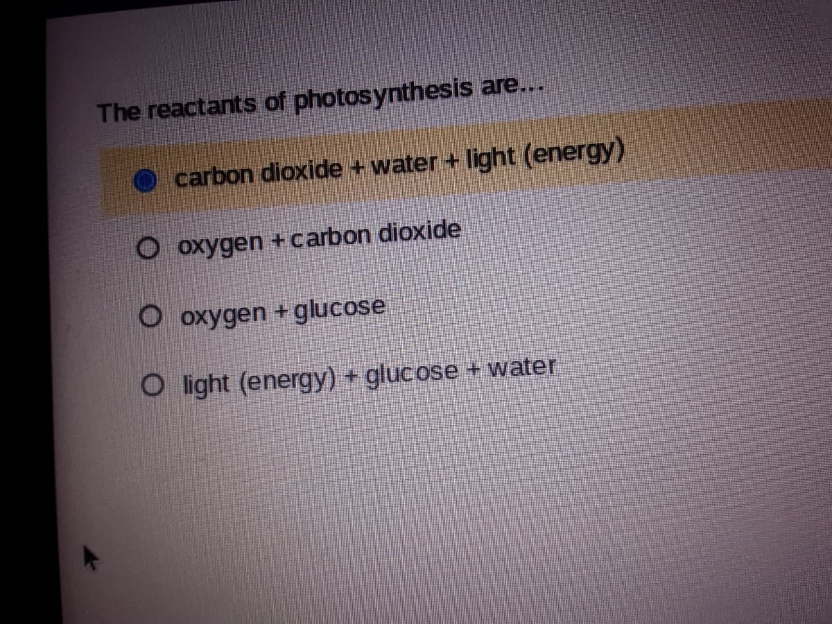 The reactants of photosynthesis are...
carbon dioxide + water + light (energy)
O oxygen + carbon dioxide
O oxygen +glucose
O light (energy) + glucose + water
