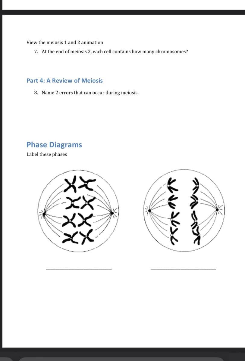 View the meiosis 1 and 2 animation
7. At the end of meiosis 2, each cell contains how many chromosomes?
Part 4: A Review of Meiosis
8. Name 2 errors that can occur during meiosis.
Phase Diagrams
Label these phases
xXx
-XX
XX
XX
151118