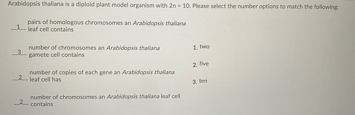 Arabidopsis thaliana is a diploid plant model organism with 2n = 10. Please select the number options to match the following:
pairs of homologous chromosomes an Arabidopsis thaliana
1.
leaf cell contains
number of chromosomes an Arabidopsis thaliana
gamete cell contains
1. two
2. five
number of copies of each gene an Arabidopsis thaliana
2 leaf cell has
3. ten
number of chromosomes an Arabidopsis thaliana leaf cell
2 contains
