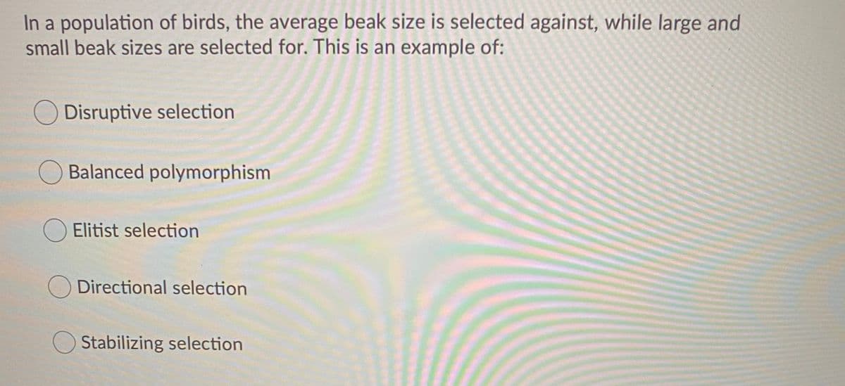 In a population of birds, the average beak size is selected against, while large and
small beak sizes are selected for. This is an example of:
O Disruptive selection
Balanced polymorphism
Elitist selection
O Directional selection
Stabilizing selection
