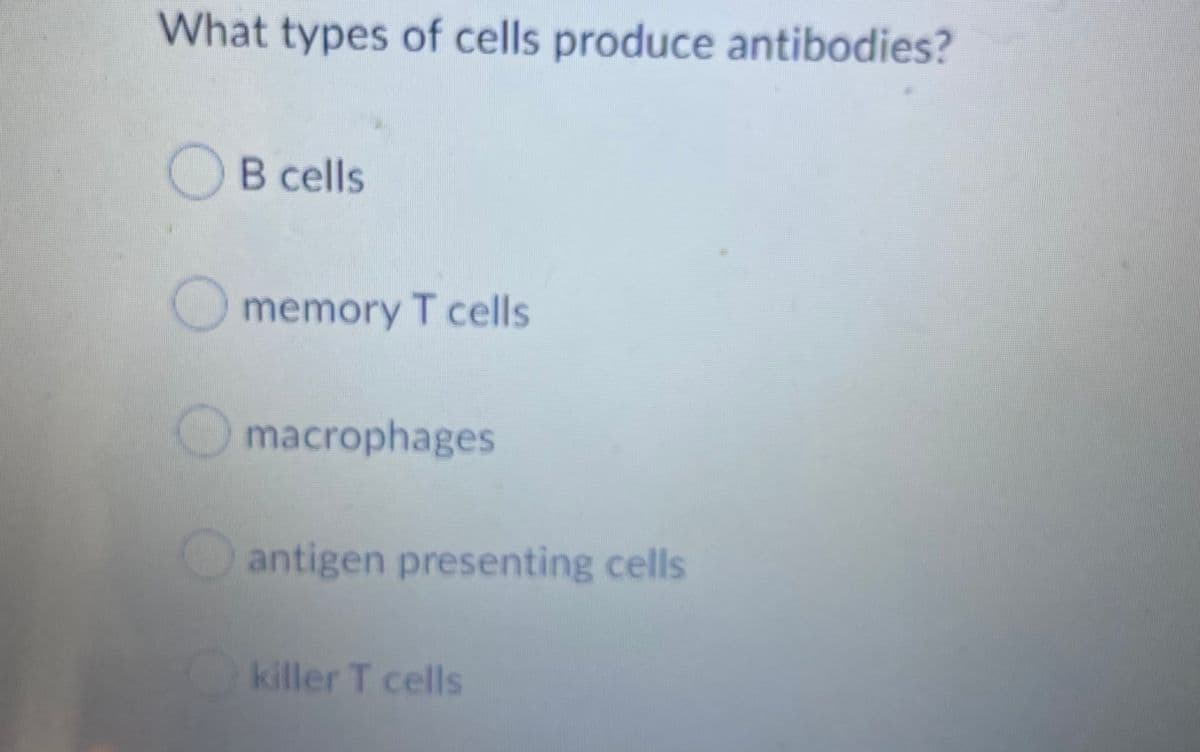 What types of cells produce antibodies?
B cells
Omemory T cells
macrophages
antigen presenting cells
killer T cells
