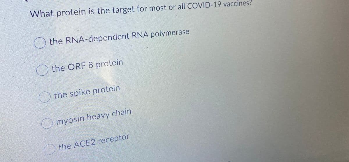 What protein is the target for most or all COVID-19 vaccines?
the RNA-dependent RNA polymerase
O the ORF 8 protein
the spike protein
myosin heavy chain
the ACE2 receptor
