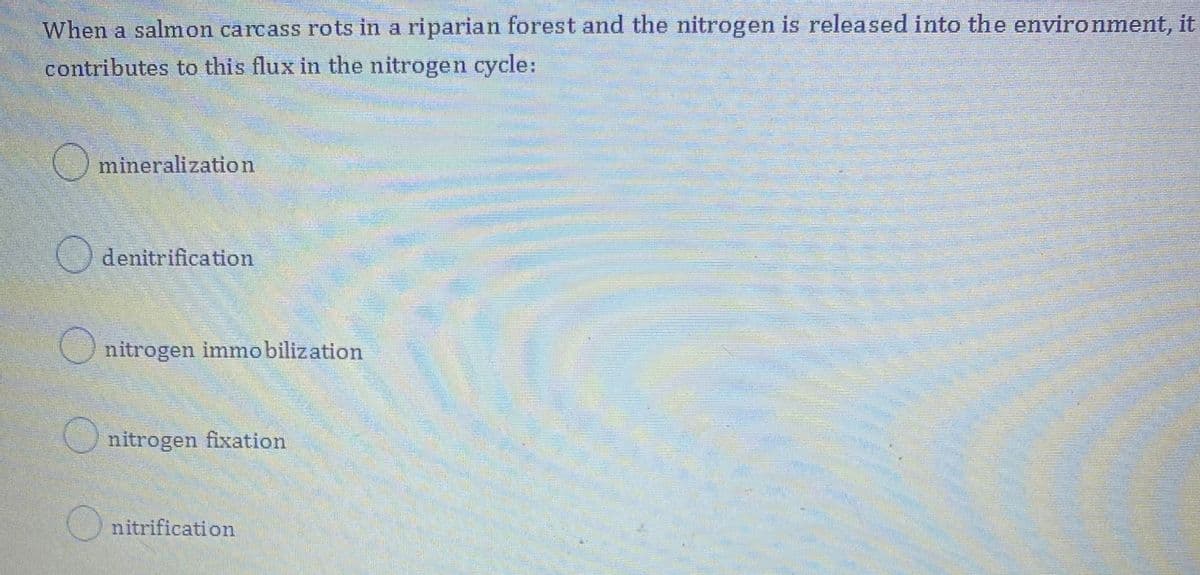 When a salmon carcass rots in a riparian forest and the nitrogen is released into the environment, it
contributes to this flux in the nitrogen cycle:
mineralization
denitrification
nitrogen immobilization
Onitrogen fixation
nitrification
