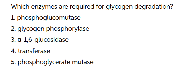 Which enzymes are required for glycogen degradation?
phosphoglucomutase
1.
2. glycogen phosphorylase
3.
4. transferase
5. phosphoglycerate mutase
a-1,6-glucosidase