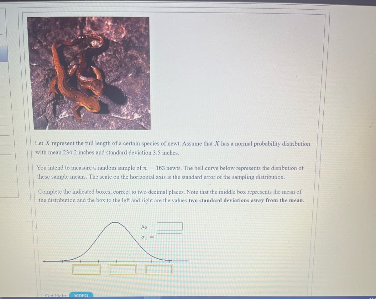 Let X represent the full length of a certain species of newt. Assume that X has a normal probability distribution
with mean 234.2 inches and standard deviation 3.5 inches.
You intend to measure a random sample of n = 163 newts. The bell curve below represents the distibution of
these sample means. The scale on the horizontal axis is the standard error of the sampling distribution.
Complete the indicated boxes, correct to two decimal places. Note that the middle box represents the mean of
the distribution and the box to the left and right are the values two standard deviations away from the mean.
『ェ=
Get Help:
VIDEO
