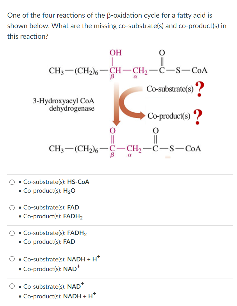 One of the four reactions of the ß-oxidation cycle for a fatty acid is
shown below. What are the missing co-substrate(s) and co-product(s) in
this reaction?
OH
||
CH3-(CH₂)6
CH -CH₂-C-S-CoA
В
Co-substrate(s)?
3-Hydroxyacyl CoA
dehydrogenase
C
Co-product(s)?
||
CH3 (CH₂)6-C-CH₂-C-S-CoA
B
α
• Co-substrate(s): HS-COA
• Co-product(s): H₂O
• Co-substrate(s): FAD
•Co-product(s): FADH2
• Co-substrate(s): FADH2
Co-product(s): FAD
●
• Co-substrate(s): NADH + H
Co-product(s): NAD+
• Co-substrate(s): NAD+
• Co-product(s): NADH + H+