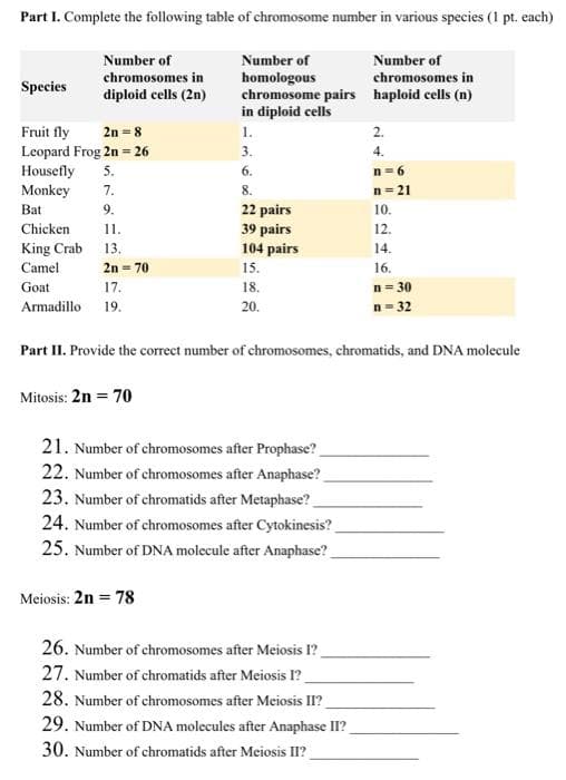 Part I. Complete the following table of chromosome number in various species (1 pt. each)
Number of
chromosomes in
Number of
Number of
chromosomes in
homologous
chromosome pairs haploid cells (n)
in diploid cells
Species
diploid cells (2n)
Fruit fly
Leopard Frog 2n = 26
Housefly
Monkey
2n = 8
1.
2.
3.
4.
5.
6.
n= 6
7.
8.
n = 21
Bat
9.
22 pairs
39 pairs
104 pairs
15.
18.
20.
10.
11.
King Crab
Chicken
12.
13.
14.
16.
n= 30
n= 32
Camel
2n = 70
Goat
17.
Armadillo 19.
Part II. Provide the correct number of chromosomes, chromatids, and DNA molecule
Mitosis: 2n = 70
21. Number of chromosomes after Prophase?
22. Number of chromosomes after Anaphase?
23. Number of chromatids after Metaphase?
24. Number of chromosomes after Cytokinesis?
25. Number of DNA molecule after Anaphase?
Meiosis: 2n = 78
26. Number of chromosomes after Meiosis l?
27. Number of chromatids after Meiosis I?
28. Number of chromosomes after Meiosis II?
29. Number of DNA molecules after Anaphase II?
30. Number of chromatids after Meiosis II?
