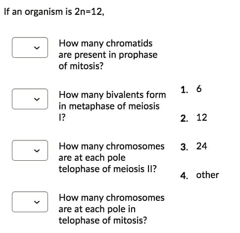 If an organism is 2n=12,
How many chromatids
are present in prophase
of mitosis?
1. 6
How many bivalents form
in metaphase of meiosis
I?
2. 12
How many chromosomes
are at each pole
telophase of meiosis II?
3. 24
4. other
How many chromosomes
are at each pole in
telophase of mitosis?
