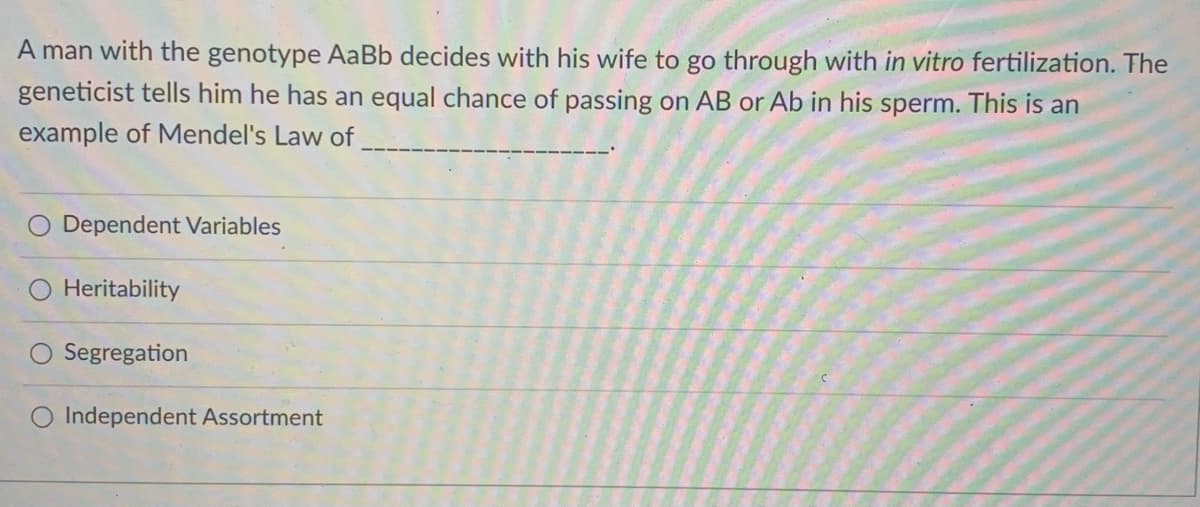 A man with the genotype AaBb decides with his wife to go through with in vitro fertilization. The
geneticist tells him he has an equal chance of passing on AB or Ab in his sperm. This is an
example of Mendel's Law of
Dependent Variables
Heritability
Segregation
Independent Assortment
