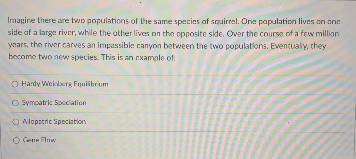 Imagine there are two populations of the same species of squirrel. One population lives on one
side of a large river, while the other lives on the opposite side. Over the course of a few million
years, the river carves an impassible canyon between the two populations. Eventually, they
become two new species. This is an 'example of:
Hardy Weinberg Equilibrium
O Sympatric Speciation
O Allopatric Speciation
Gene Flow

