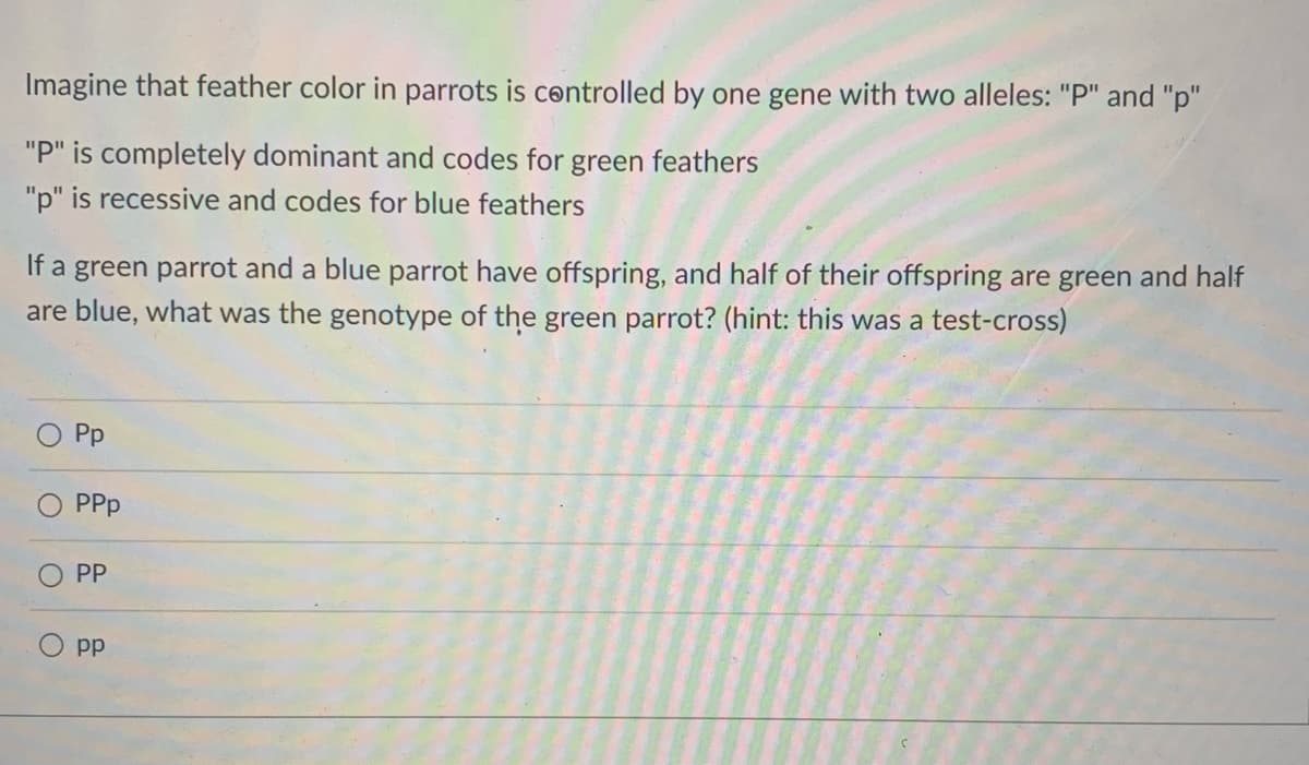 Imagine that feather color in parrots is controlled by one gene with two alleles: "P" and "p"
"P" is completely dominant and codes for green feathers
"p" is recessive and codes for blue feathers
If a green parrot and a blue parrot have offspring, and half of their offspring are green and half
are blue, what was the genotype of the green parrot? (hint: this was a test-cross)
Pp
PPp
PP
pp
