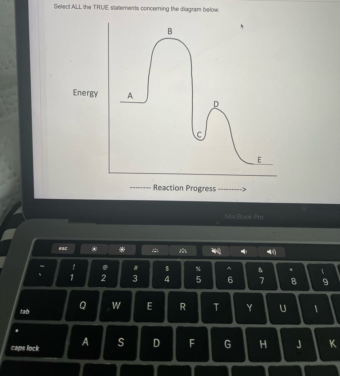 Select ALL the TRUE statements concerning the diagram below.
Energy
A
E
Reaction Progress
MacBook Pro
esc
!
@
#
2$
%
&
1
6.
7
8.
Q
W
E
T
Y
tab
S
D
F
G
っ
K
caps lock
この
つ
エ
B.
A st
A
