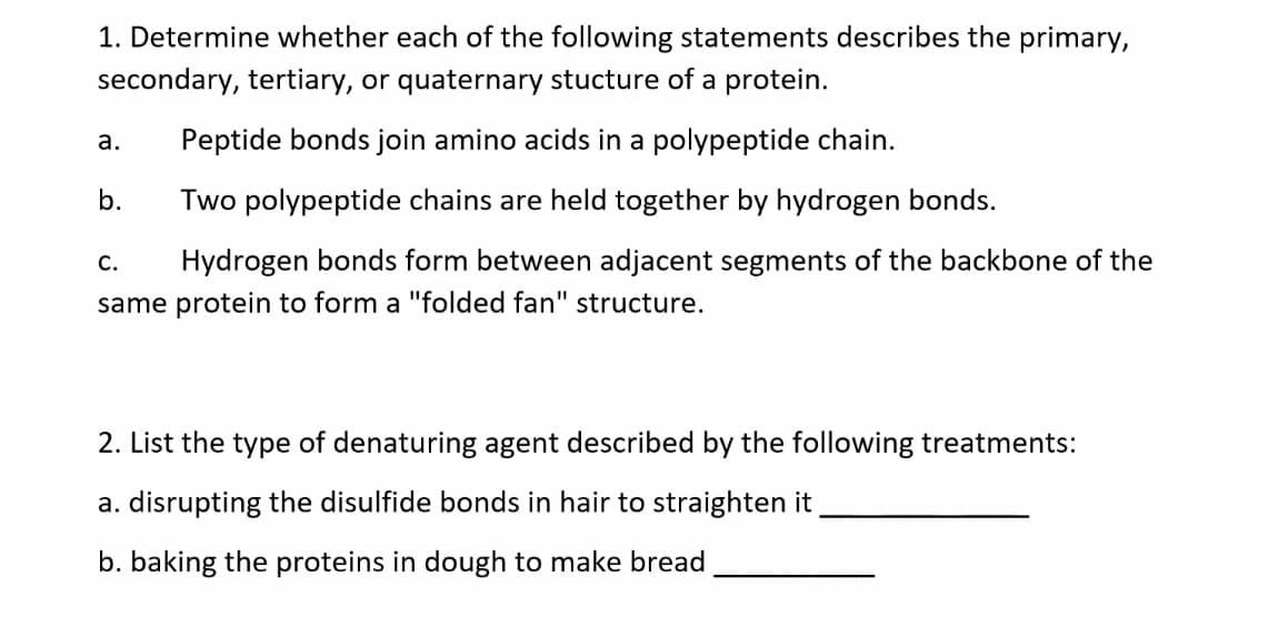 1. Determine whether each of the following statements describes the primary,
secondary, tertiary, or quaternary stucture of a protein.
а.
Peptide bonds join amino acids in a polypeptide chain.
b.
Two polypeptide chains are held together by hydrogen bonds.
С.
Hydrogen bonds form between adjacent segments of the backbone of the
same protein to form a "folded fan" structure.
2. List the type of denaturing agent described by the following treatments:
a. disrupting the disulfide bonds in hair to straighten it
b. baking the proteins in dough to make bread
