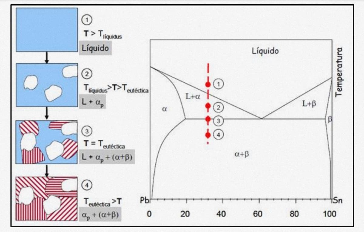 T>T
liquidus
Liquido
Líquido
TiquidusT>Teutéctica
L+a
L+B
T=T.
eutéctica
a+B
L+a,+(a+B)
Teutéctica >T
Pb
20
40
60
80
100
+ (a+B)
Temperatura
