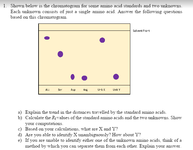 1. Shown below is the chromatogram for some amino acid standards and two unknowns.
Each unknown consists of just a single amino acid. Answer the following questions
based on this chromatogram.
Solvent Frort
Ala
Ser
Asp
Are
UrkX
Unk Y
a) Explain the trend in the distances travelled by the standard amino acids.
b) Calculate the R¢values of the standard amino acids and the two unknowns. Show
your computations.
c) Based on your calculations, what are X and Y?
d) Are you able to identify X unambiguously? How about Y?
e) If you are unable to identify either one of the unknown amino acids, think of a
method by which you can separate them from each other. Explain your answer.
