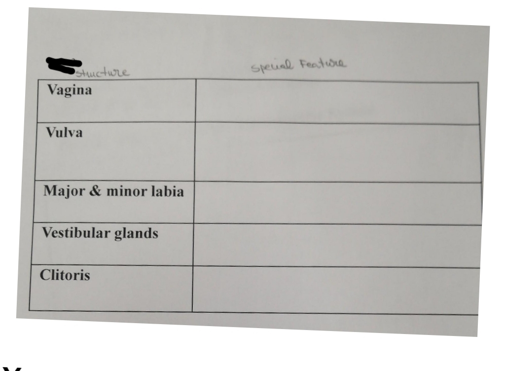 speial Feature
Stucture
Vagina
Vulva
Major & minor labia
Vestibular glands
Clitoris
