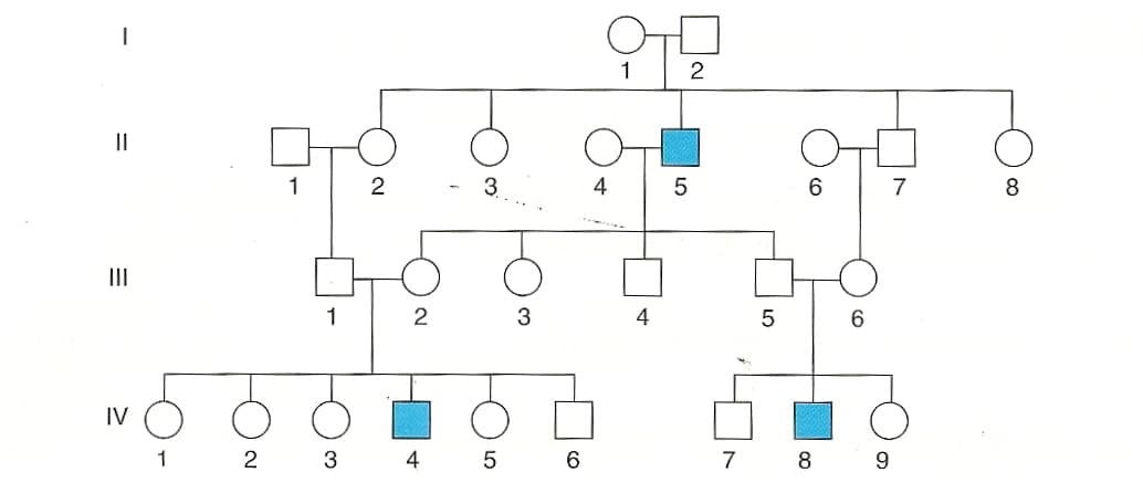 |
||
=
IV
1 2
1
1
3
2
2
4
3
5
3
6
인물
1
2
4
4
5
7
5
6
8
6
9
7
8