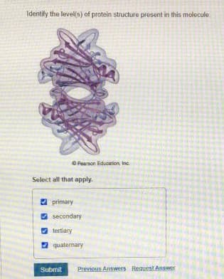 Identify the level(s) of protein structure present in this molecule
O Fearson Education, Inc.
Select all that apply.
A primary
O secondary
O tertiary
2 quaternary
Submit
Previous Answers Request Answer
